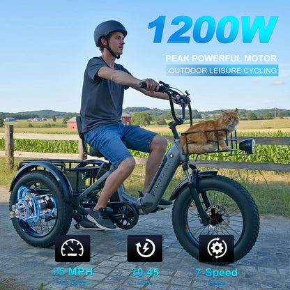 Smartravel Hauler ST301 Dual Battery Cargo Electric  Tricycle