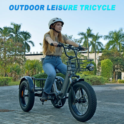 Smartravel Hauler ST301 Dual Battery Cargo Electric  Tricycle
